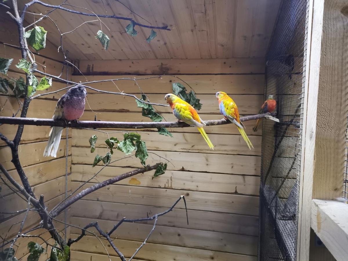 プットブスCasa Hibiscusアパートメント エクステリア 写真