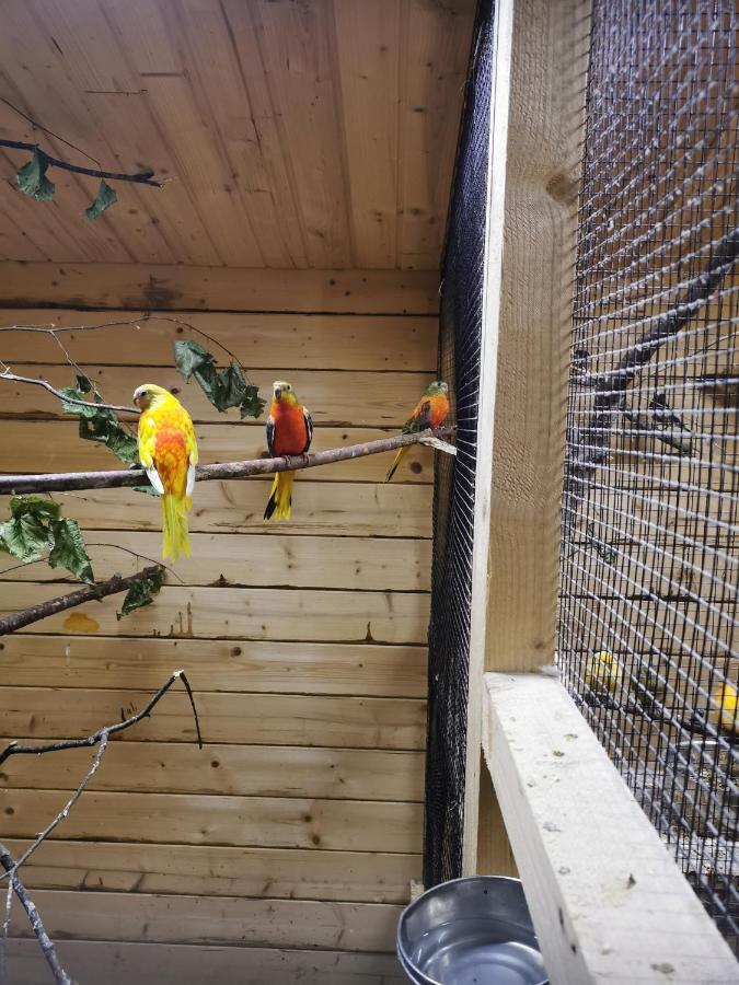 プットブスCasa Hibiscusアパートメント エクステリア 写真